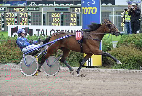 Laura Vixi varmistetaan ideasysteemissä.