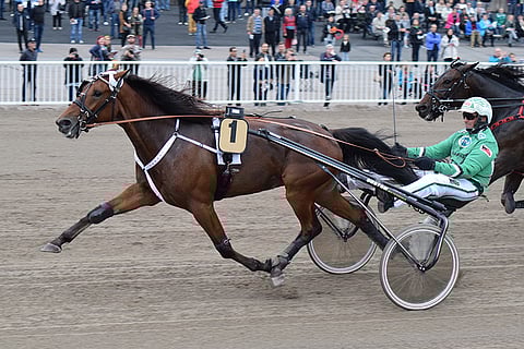 Spade Ace Frido on maistuva ideavarma takarivin lähtöpaikaltakin. Toto64-pelissä on ainoalle täysosumalle 200 000 euron takuupotti. Illan 7. lähdön Troikkapelissä on 5000 euroa bonusrahaa.