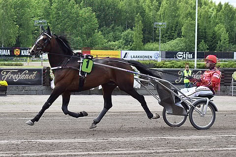 Gravy Train Web ja Janne Soronen.