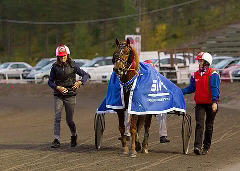 Vixus vei suomenhevosten toisen karsinnan.