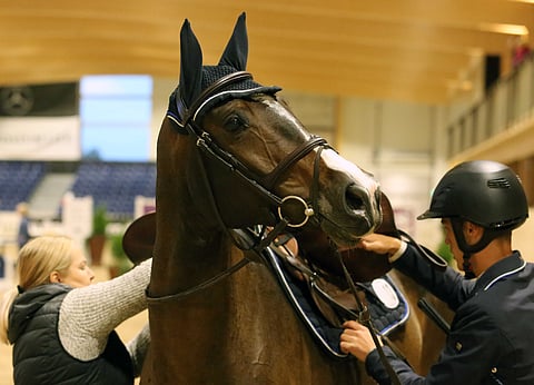 Silmät ovat sielun peili. Chardonnay Nahi.