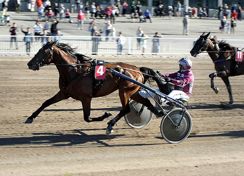 Le Gros Bill on ulkoradaltakin hyvä pelihevonen Kouvolaan.