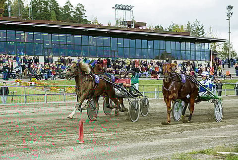 Myrskyn Tuuli voitti viime vuonna Villinmiehen Tammakilvan.