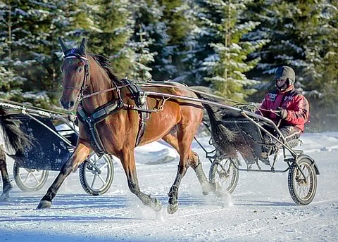 Ilkka-ajon ensimmäisen karsinnan vei Exploding Belle. Kuva Exploding Bellestä ja Kari Irristä helmikuulta 2017.