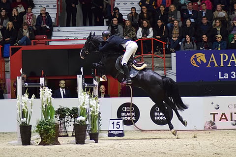 Alamo oli vakuuttava.