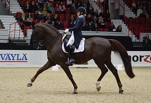 Duendecillo P viime syksynä Helsingissä.