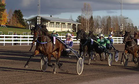 Viking Grace oli keulasta pysäyttämätön.
