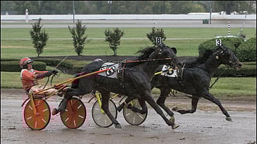 Snowstorm Hanover (3) veti pisimmän korren Kentucky Futurityssa sunnuntaina. Kuva Nigel Soult