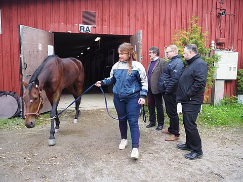 Gloria Web saapui Teivoon eilen. Ihastelemassa uudet omistajat Kari Linna (oik.), Matti Viitala ja Seppo Ranta-Ruona.