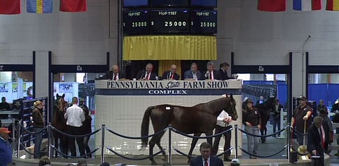 Torstaina Harrisburgissa alkoi mixed-huutokauppa, jossa myytiin mm. siitostammoja.