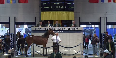 25.000 dollaria maksanut Matter Of Fact meni Reijo Liljendahlille.