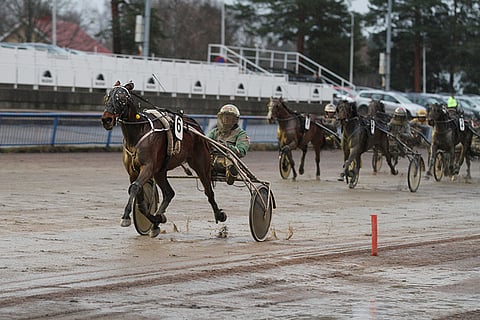 Heidi Ale voitti Toto76-pelin avauskohteen murskatyyliin.
