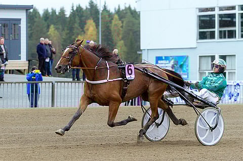 Zeus Kemp ohjissaan Hannu Torvinen voitti hopeadivisioonan Forssan Toto76:ssa 30.9.2017.