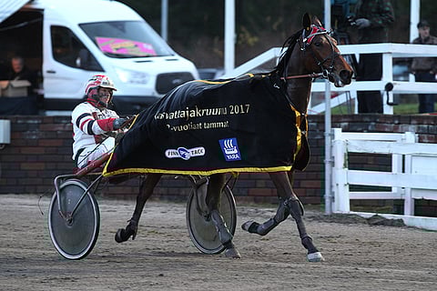 Tapio Perttusen huutokauppalöydös Leemark's Giselle vakuutti Killerillä.