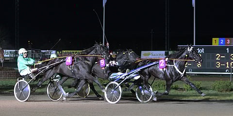 Mika Forssin kuskaama Hotshot Luca jyräsi Kasvattajakruunun voittoon johtavan rinnalta.