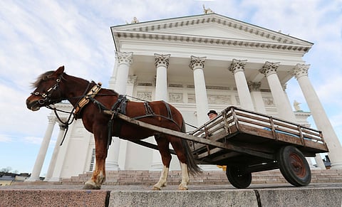 Jylhissä suomenhevonen 110 vuotta -tunnelmissa.