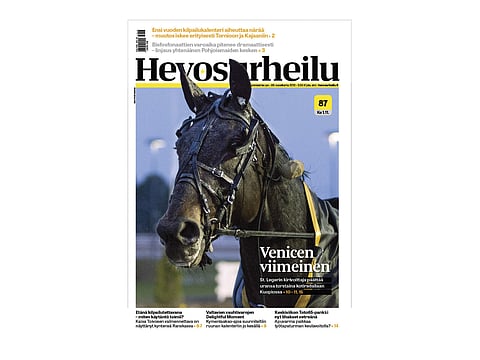 Kannen kuvassa uransa viimeisen suurkilpailuvoiton viime viikonloppuna napannut huipputamma Venice. Keskiviikon lehdessä raportti Porin kierrokselta. Kuva: Ada Pykäläniemi