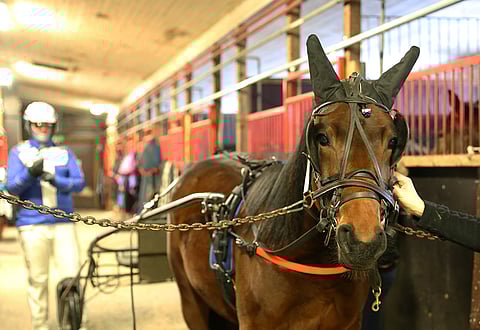 Tuija Irrin tallilla kuvattu Marschall Match paineli 2100 metriä voltista aikaan 16,5.