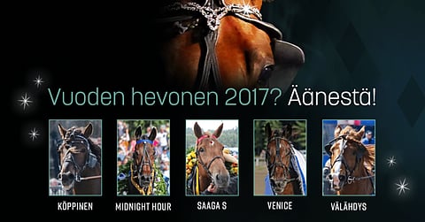 Kansa valitsee Vuoden hevosen ja Vuoden raviteon – Katso tunnelmavideot ehdokkaista