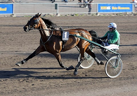 Deanna Boko on pystyvä menijä sarjoihinsa.