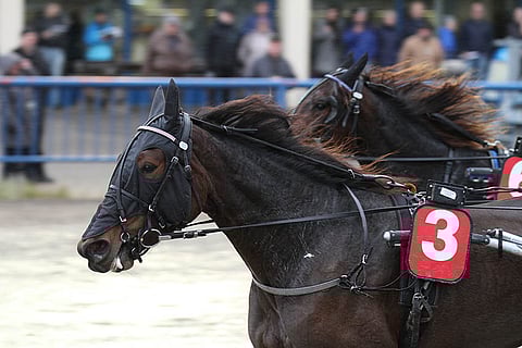 Katie Ale on Toto76-pelin avauskohteen suosikki.