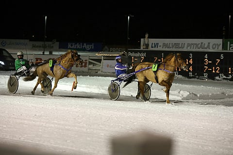Diktaattori on yksi Toto76-varmoista.