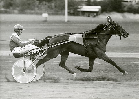 Stone Capes Beauty ja Ari Moilanen.