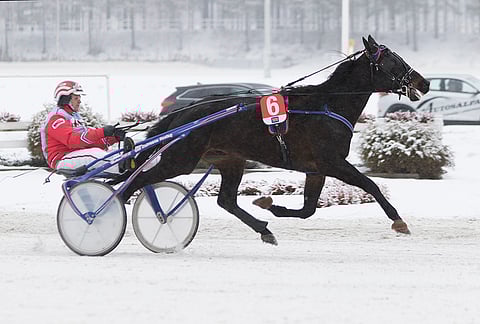 Jeppas Pointer ja Harri Koivunen Teivossa helmikuussa 2017.
