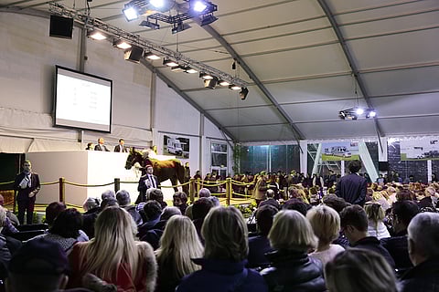 Vincennesin huutokauppa-areenan tupa oli perjantaina illalla täynnä.