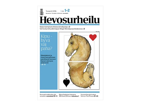 Hevosista, kivusta ja kuolaimista