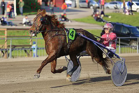 Ariitta on kevään viimeisen Magic Mondayn Toto65-ideavarma.