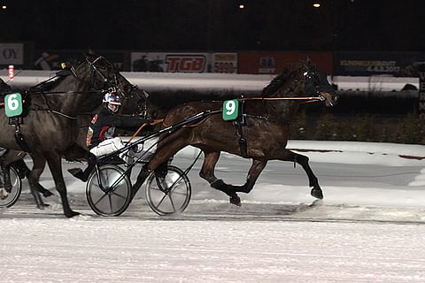 Tir Du Caux oli Toto65-pelin avauskohteen etevin.