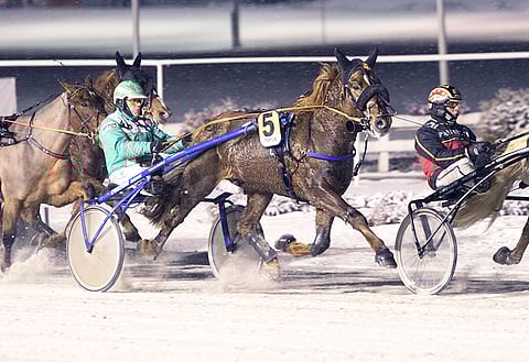 Sheikki on Suomen Cupin finaalin pelisuosikki.