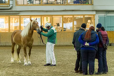 Eero Laitisen esittämä Turelius lautakunnan arvostelussa Ypäjällä.