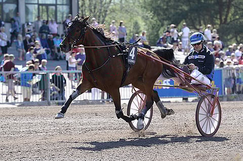 Invantaggio on oiva yllätyshaku Jokimaan Toto4-peliin.