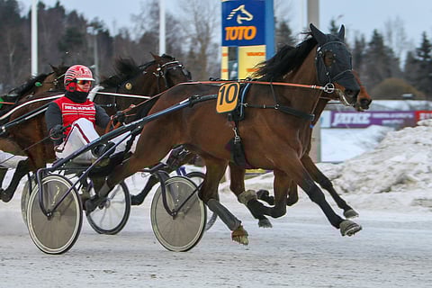 Regent Zet juoksi urallaan 142 starttia totosijoin 34-22-15. Voittosummaksi jäi 308 748 euroa ja ennätykseksi 11,1.