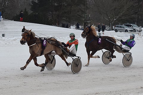 Polara erkani valiodivisioonan voittajaksi ohi vetotyöt tehneen, mutta maalisuoralla laukanneen Costellon.