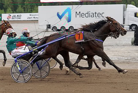 Elegant Prayer voittamassa Kyvyt esiin-divisioonan Härmän Toto76:ssa kesäkuussa 2016.