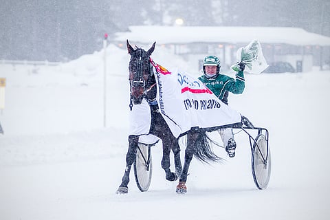 Lindy Poppin on Hevosurheilun ideavarma.