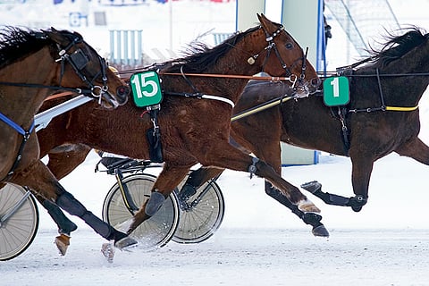 Seinäjoen Toto4-varmaksi nousee Floyd Kenwood.