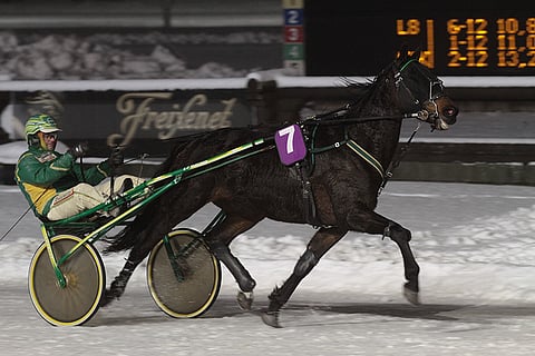 Al E.Gador Zet - Erkki-Pekka Mäkinen on vauhdikas kaksikko.