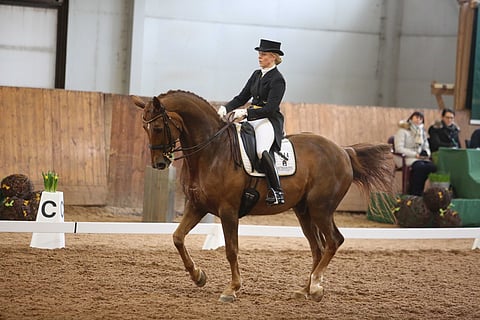 Denzel ja von Wendt maaliskuulla.