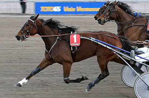 Alert Kemp juoksi kilpaa 51 kertaa ja voitti kuudesti. Arkistokuva: Pekka Salonen.