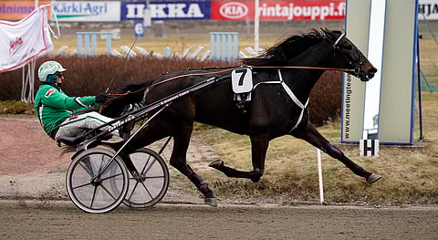 Suureksi suosikiksi pelattu Callela Lisbeth aloitti Toto76-rivin.