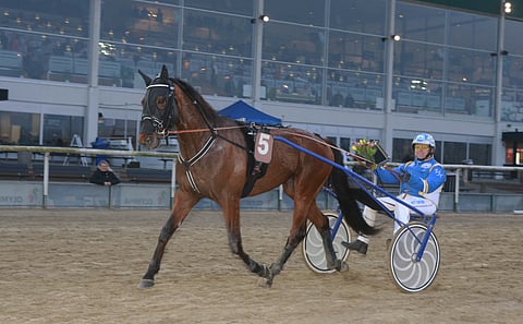 Celsius Evo on löytänyt huippuvireensä.