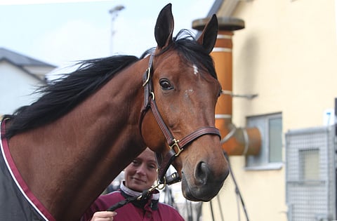 Dante Boko matkustaa Lutfi Kolgjini tallista Italiaan. Kuva Totofoto