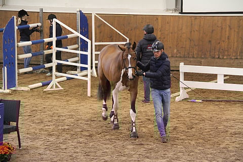 Myös värillään erottunutta De Bunte Jungia huoletti.