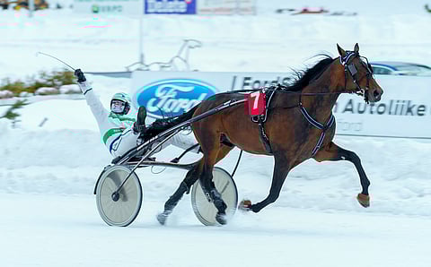 Enjoy's Paycheck on maistuva Toto65-varma.