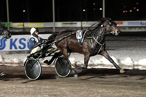 Wonder Woman voitti viime kevätkaudella Kouvolassa kolmesti valmentajansa Marko Redsvenin ajamana.