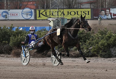 Toto76-pelin päätöskohteen voittajan Starzinnerin tyylinäyte oli paljonpuhuva, ja voitto merkitsi paljon myös Iikka Nurmoselle. 2100 metrillä syntyi aika 12,9a. Kuva: Roosa Lindholm.